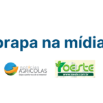 Abrapa E Anea Deram In Cio S Auditorias Do Programa Abr Log Abrapa