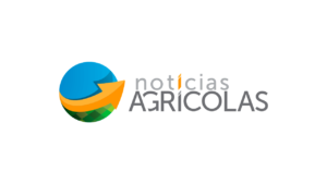 Salto das exportações brasileiras de algodão nos últimos anos é tema de entrevista no Notícias Agrícolas