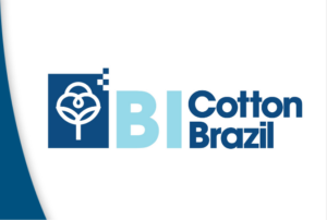 Cotton Brazil BI, a plataforma de Business Intelligence da Abrapa