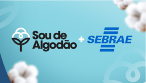 Movimento Sou de Algodão e Sebrae promovem cursos de gestão para pequenos negócios