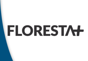 GT de Sustentabilidade projeta lançamento do Floresta+ em junho de 2022