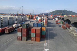 Cotton Brazil impulsiona a liderança do Brasil nas exportações de algodão