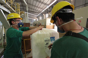 O uso da tecnologia blockchain na rastreabilidade do algodão brasileiro