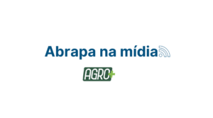 Brasil deve continuar na liderança das exportações de algodão