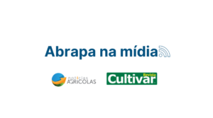 Brasil deve continuar na liderança das exportações de algodão e projeta novos avanços na cotonicultura para 2025