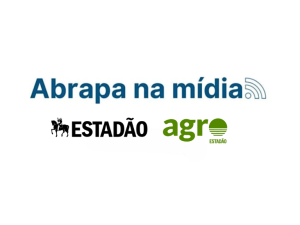 Brasil consolida liderança global na produção de algodão.
