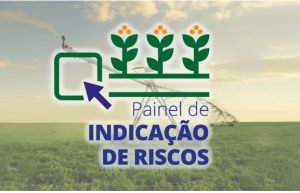 Ministério da Agricultura define o ZARC do algodão para 2025/26