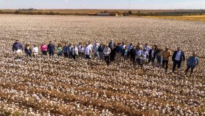 Large Farm Week, iniciativa da Better Cotton que promove troca de experiências entre produtores de algodão, tem sua primeira edição realizada no Brasil