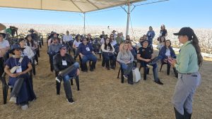 Cotton Trip com marcas parceiras reforça o elo entre a indústria e o algodão brasileiro