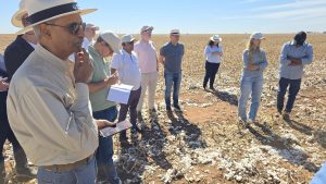 Preservação ambiental nas fazendas de algodão é destaque durante “Brazilian Cotton Dialogues”