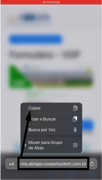Interface gráfica do usuário, Texto, Aplicativo, chat ou mensagem de texto  O conteúdo gerado por IA pode estar incorreto.