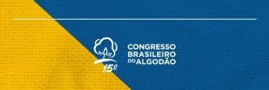O sucesso do algodão brasileiro no mundo passa por tecnologia e inovação