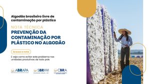Abrapa publica nota técnica sobre prevenção da contaminação por plástico no algodão