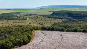 Governo prorroga prazo para georreferenciamento de imóveis rurais