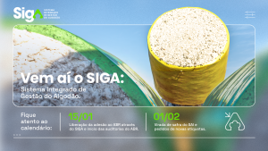 ABRAPA lança o SIGA, nova plataforma digital que integra os programas do algodão brasileiro