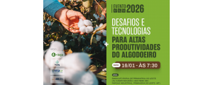 Mato Grosso sedia encontro sobre tecnologia para o algodoeiro
