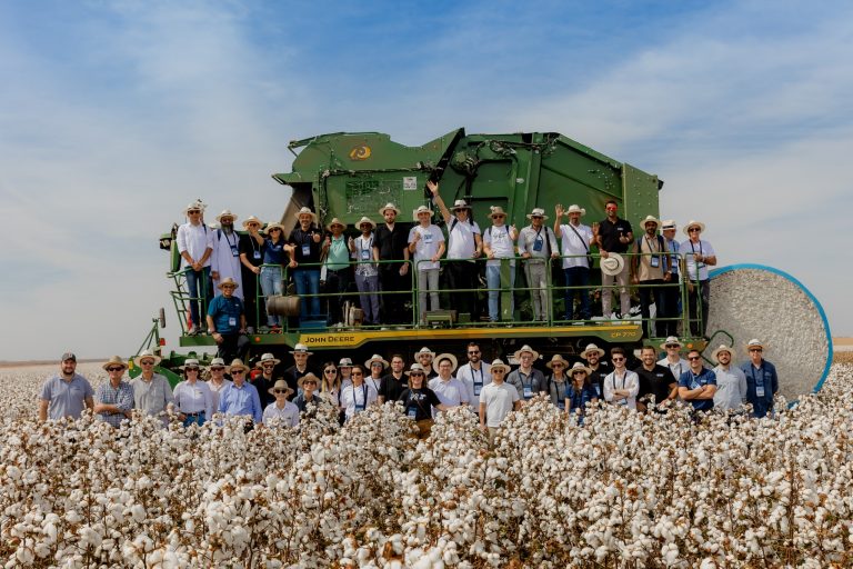 Brasil atinge 31% de participação no comércio global de algodão em 2024/25, aponta anuário do Cotton Brazil