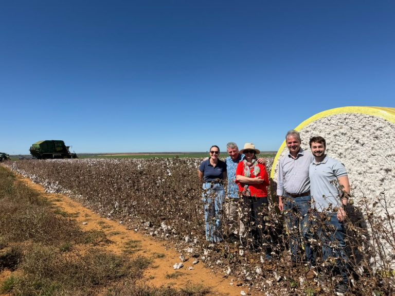 Diretora do Cotton Outlook tem imersão na qualidade e sustentabilidade do algodão brasileiro