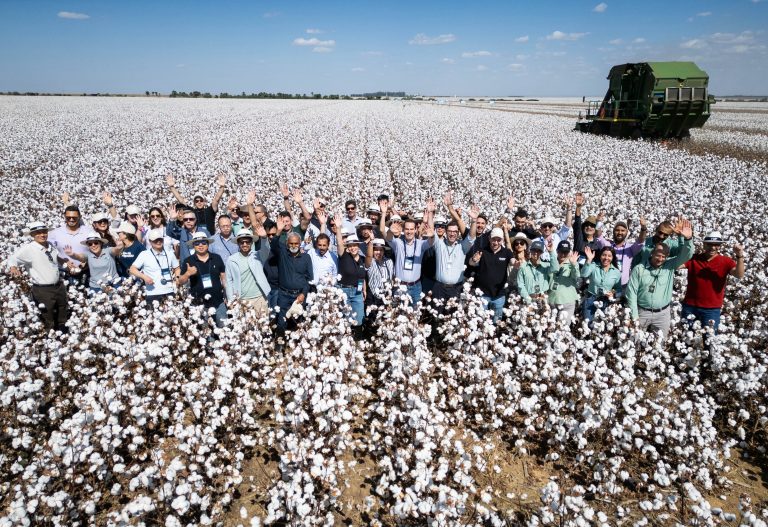 Cotton Brazil Dialogues encerra primeira etapa destacando inovação, rastreabilidade e qualidade em Goiás
