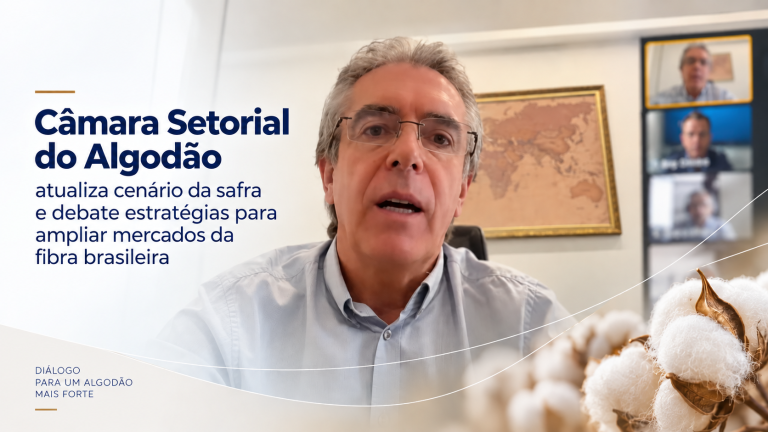 Câmara Setorial do Algodão atualiza cenário da safra e debate estratégias para ampliar mercados da fibra brasileira
